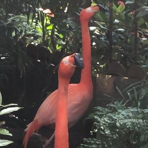 Meet your Posher, Heidi